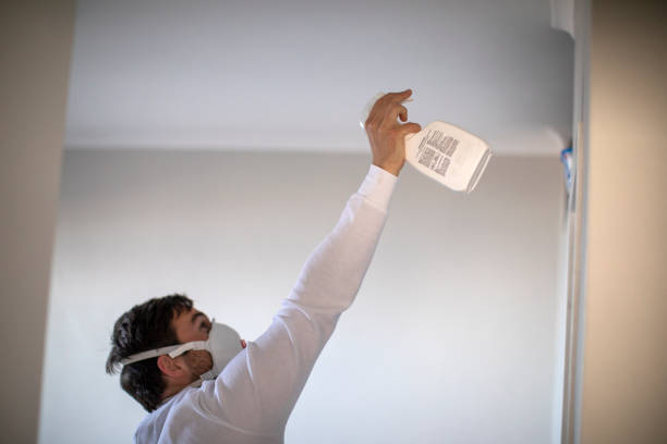 Best Attic Mold Removal  in Queensland, MD
