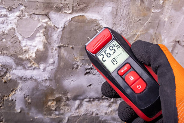 Best Home Mold Removal  in Queensland, MD